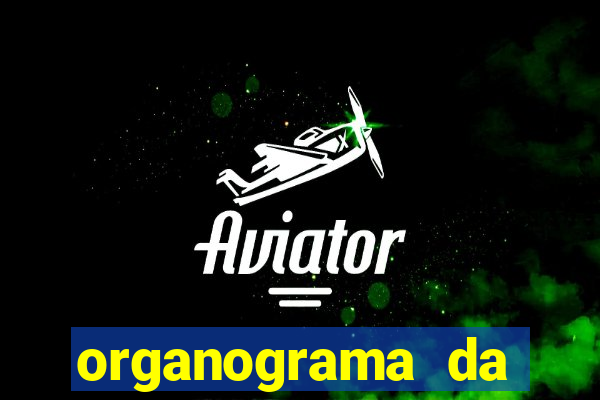 organograma da cacau show